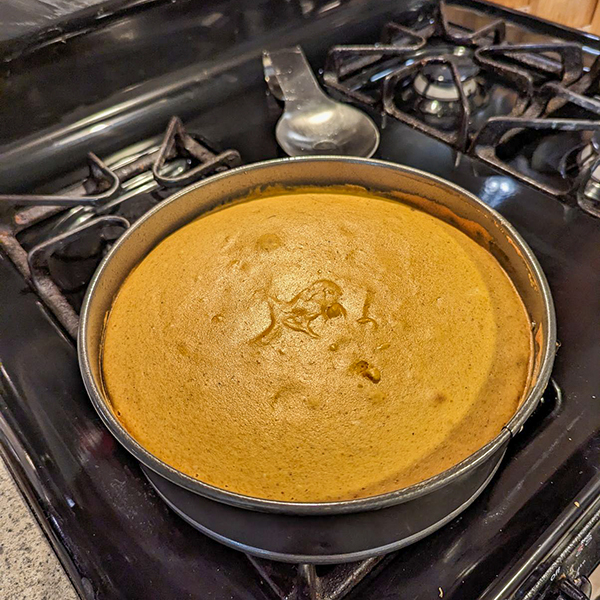 Freshly baked pumpkin cheesecake on stovetop.