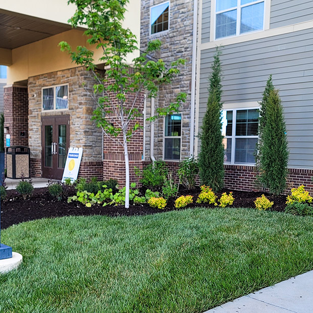 Freshly planted flower beds and trees outside The Boulevard Senior Living Wentzville.